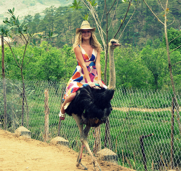 ostrich-ride-in-dalat
